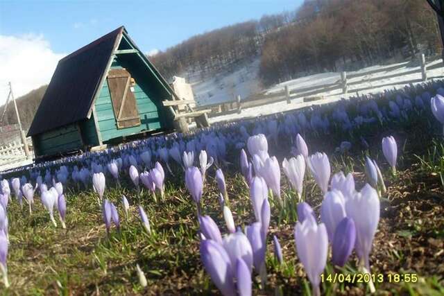 Отели типа «постель и завтрак» Guest House Etno Village Milogora Hercegova Strana-56